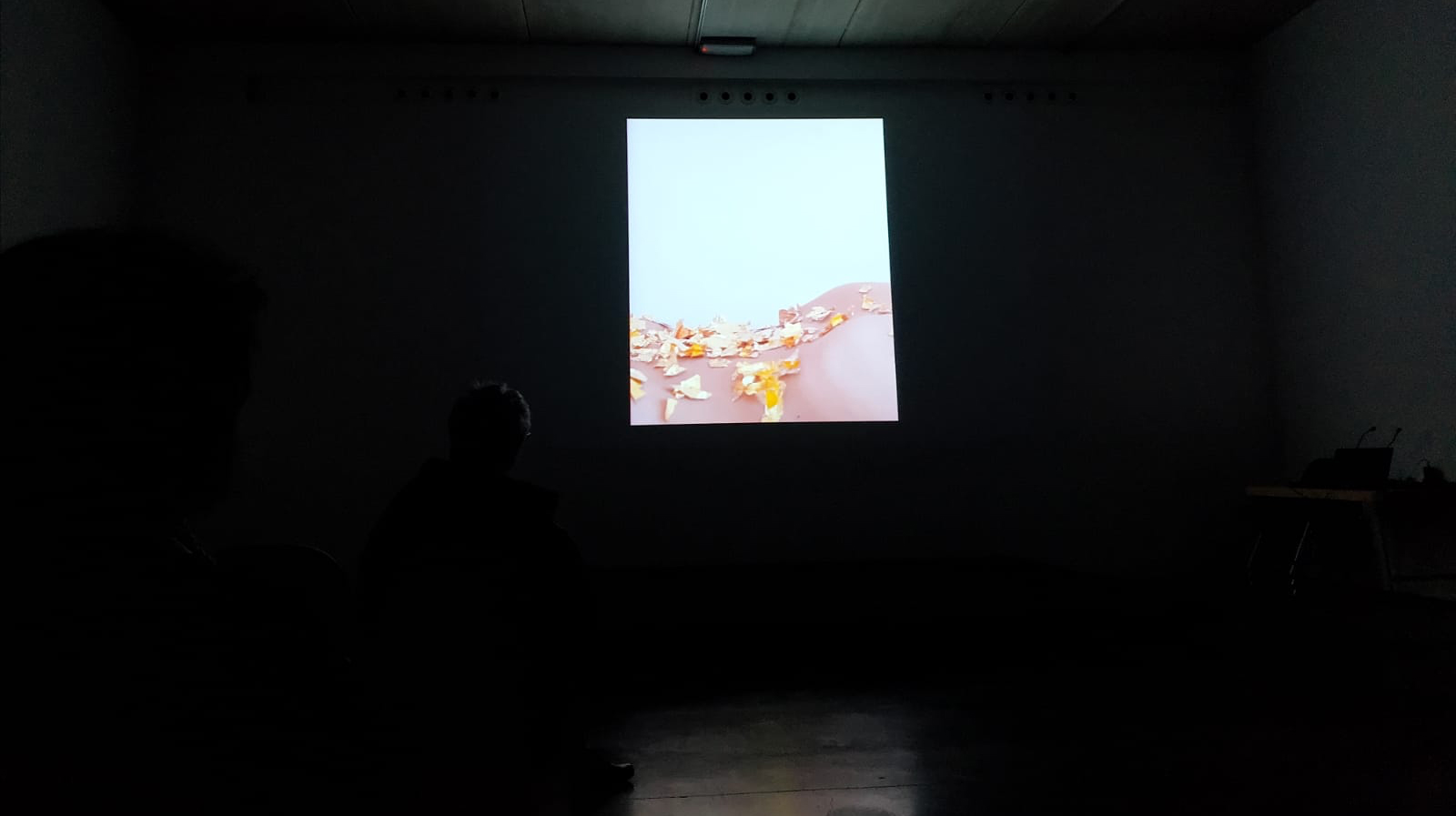 Peregrinaje en Centro Huarte, Navarra. Como muestra final de la residencia OB-SKENA 2018.