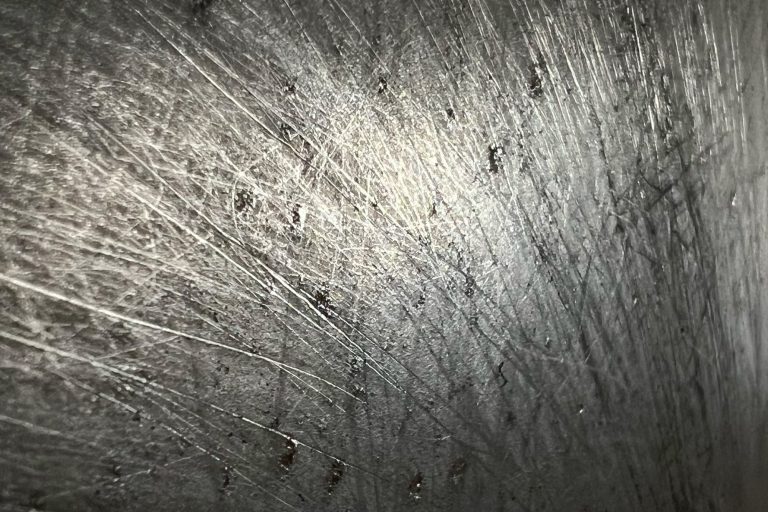 detalle incisiones plancha